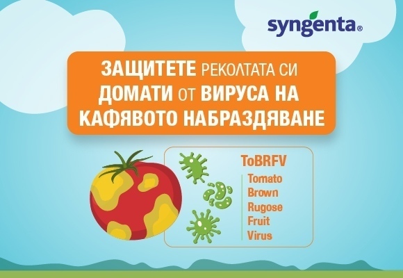 Съвети за справяне с вируса на кафявото набраздяване ToBRFV се предлага в новия информационен център на Синджента